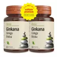 Pachet Ginkgo biloba 40mg Ginkana 2x30cp - ALEVIA