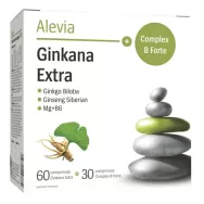 Kit Ginkana Extra 60cp+Complex B forte 30cp - ALEVIA