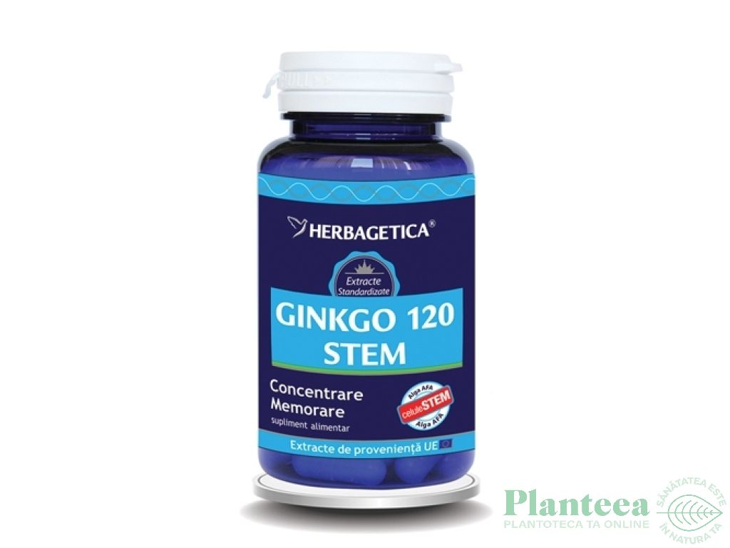 Ginkgo120+ stem 120cps - HERBAGETICA