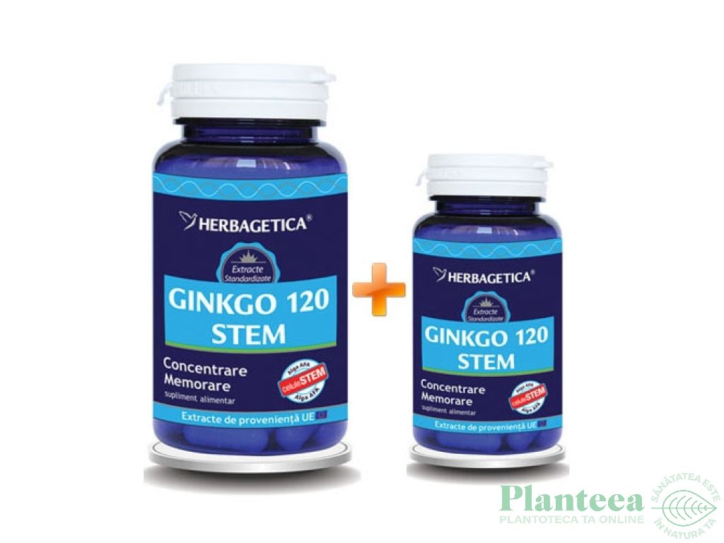 Pachet Ginkgo120+ stem 60+10cps - HERBAGETICA