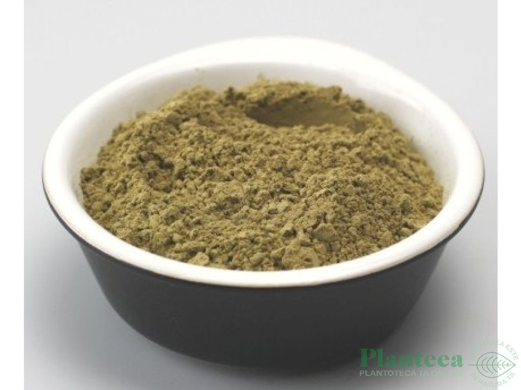 Pulbere moringa 125g - EVERTRUST