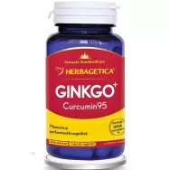 Ginkgo+ curcumin95 60cps - HERBAGETICA