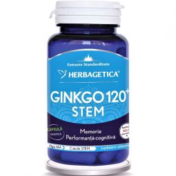 Ginkgo120+ stem 30cps - HERBAGETICA