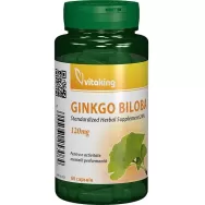 Ginkgo biloba 120mg 60cp - VITAKING