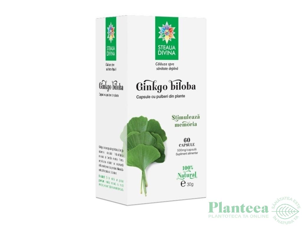 Ginkgo biloba 500mg 60cps - SANTO RAPHAEL