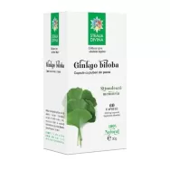 Ginkgo biloba 500mg 60cps - SANTO RAPHAEL