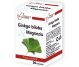 Ginkgo biloba magneziu 40cps - FARMACLASS