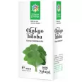 Tinctura ginkgo biloba 50ml - SANTO RAPHAEL