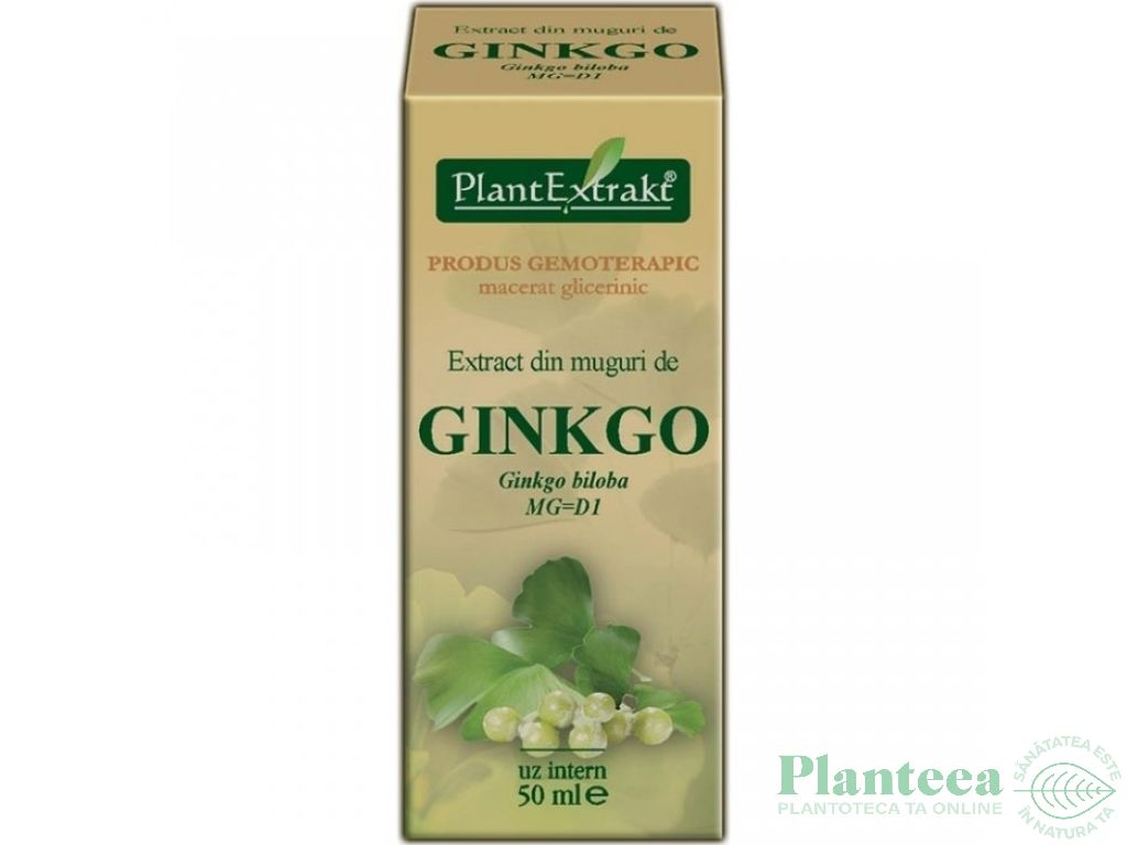 Gemoderivat ginkgo biloba muguri 50ml - PLANTEXTRAKT