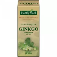 Gemoderivat ginkgo biloba muguri 50ml - PLANTEXTRAKT