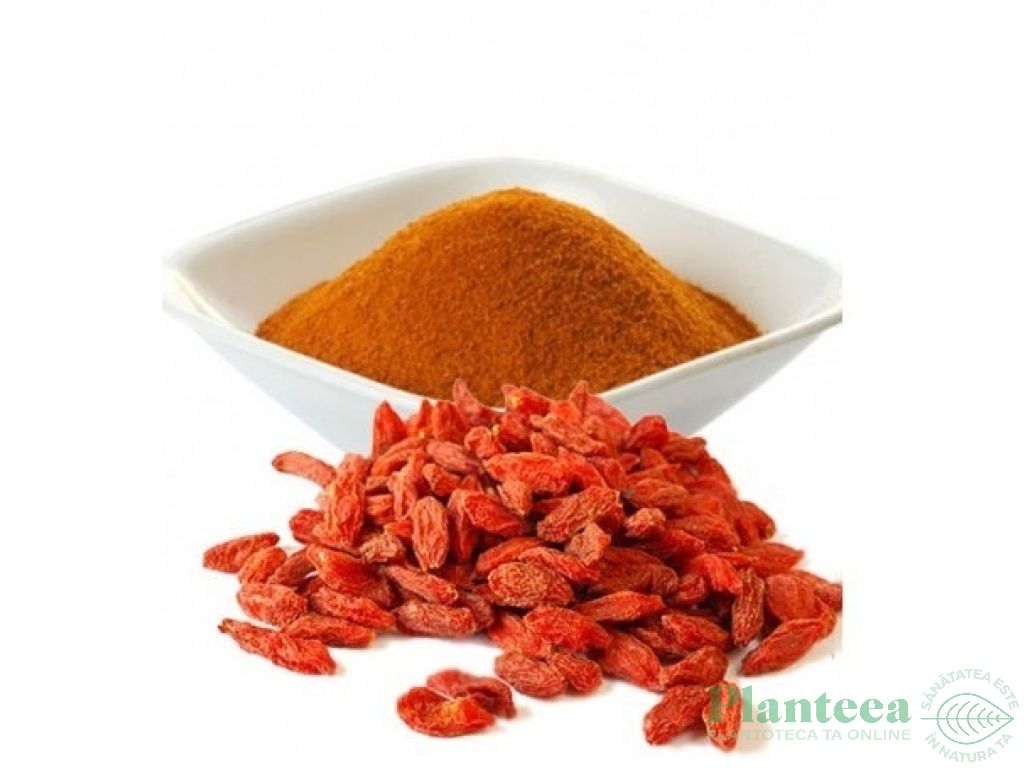 Pulbere goji raw bio 125g - EVERTRUST