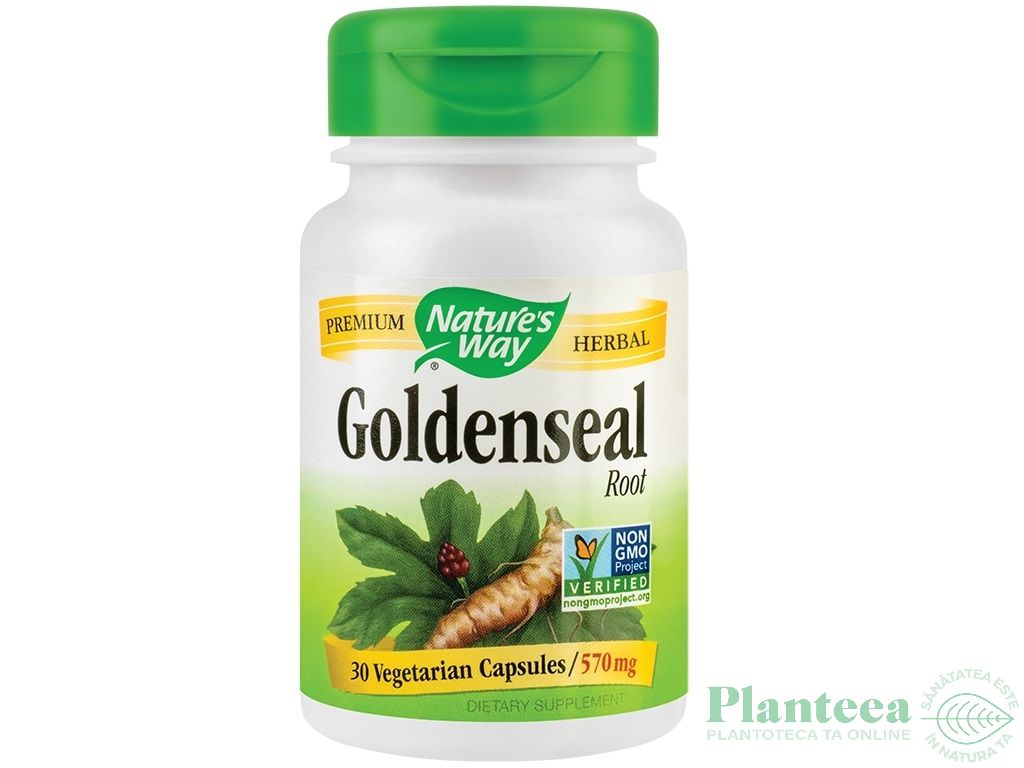 Goldenseal 570mg 30cps - NATURES WAY