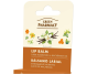 Balsam buze miere vanilie nutritiv intens 3,6g - GREEN PHARMACY