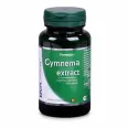 Gymnema extract 1x30cps - DVR PHARM