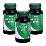 Set Gymnema extract 3x30cps - DVR PHARM