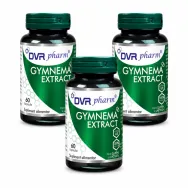 Set Gymnema extract 3x60cps - DVR PHARM