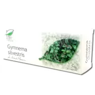 Gymnema silvestris 30cps - MEDICA