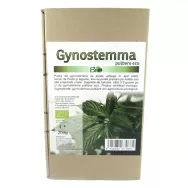 Pulbere gynostemma eco 200g - DECO ITALIA