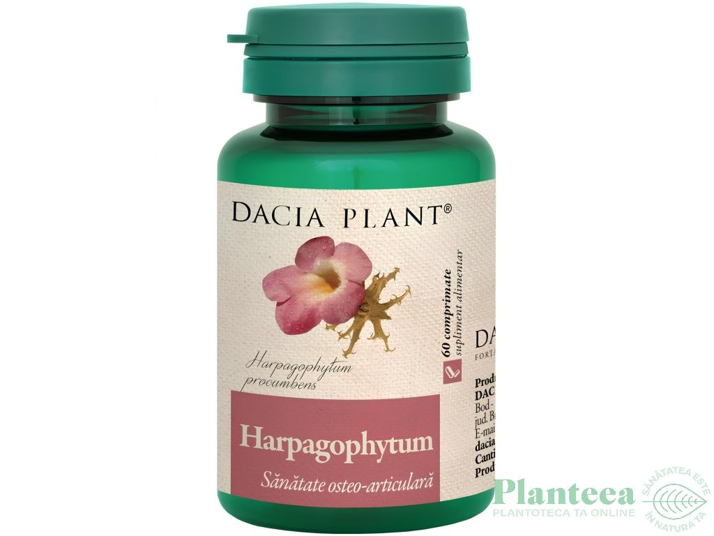 Harpagophytum 500mg 60cp - DACIA PLANT