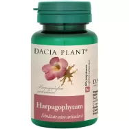 Harpagophytum 500mg 60cp - DACIA PLANT