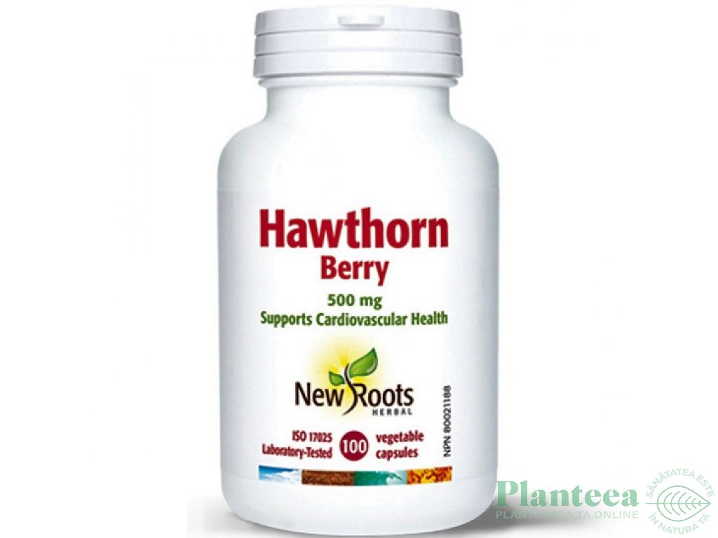 Hawthorn berry [paducel rosu]100cps - NEW ROOTS HERBAL