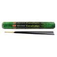 Betisoare parfumate Precious Eucalyptus 20b - HEM