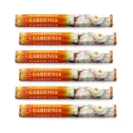 Pachet Betisoare parfumate Gardenia 6x20b - HEM