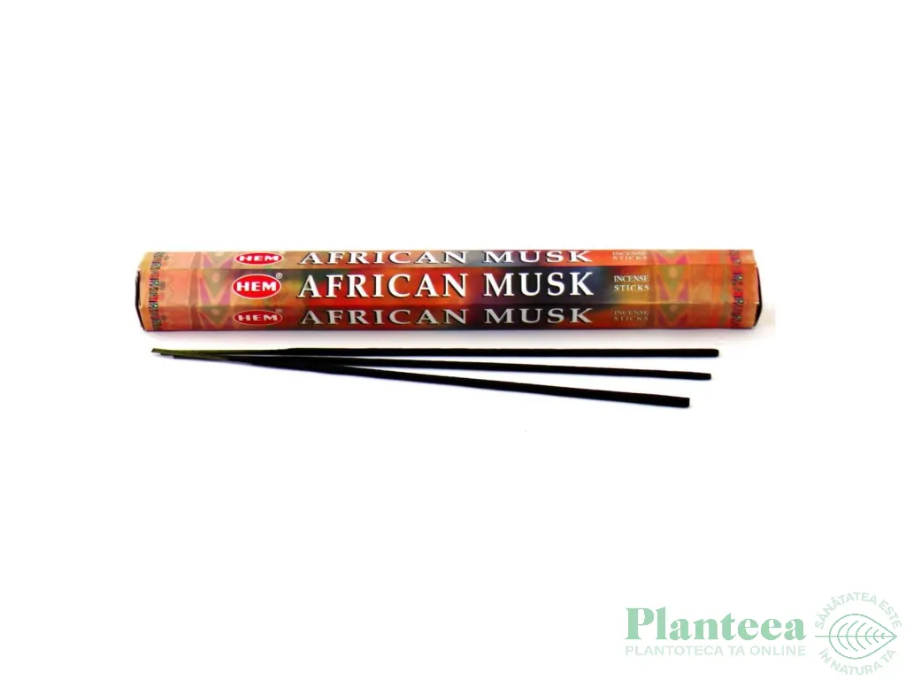 Betisoare parfumate hexagonale African Musk 20b - HEM