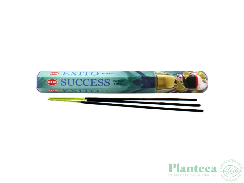 Betisoare parfumate hexagonale Success 20b - HEM
