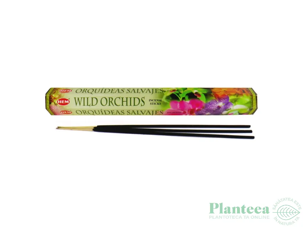 Betisoare parfumate Wild Orchids 20b - HEM