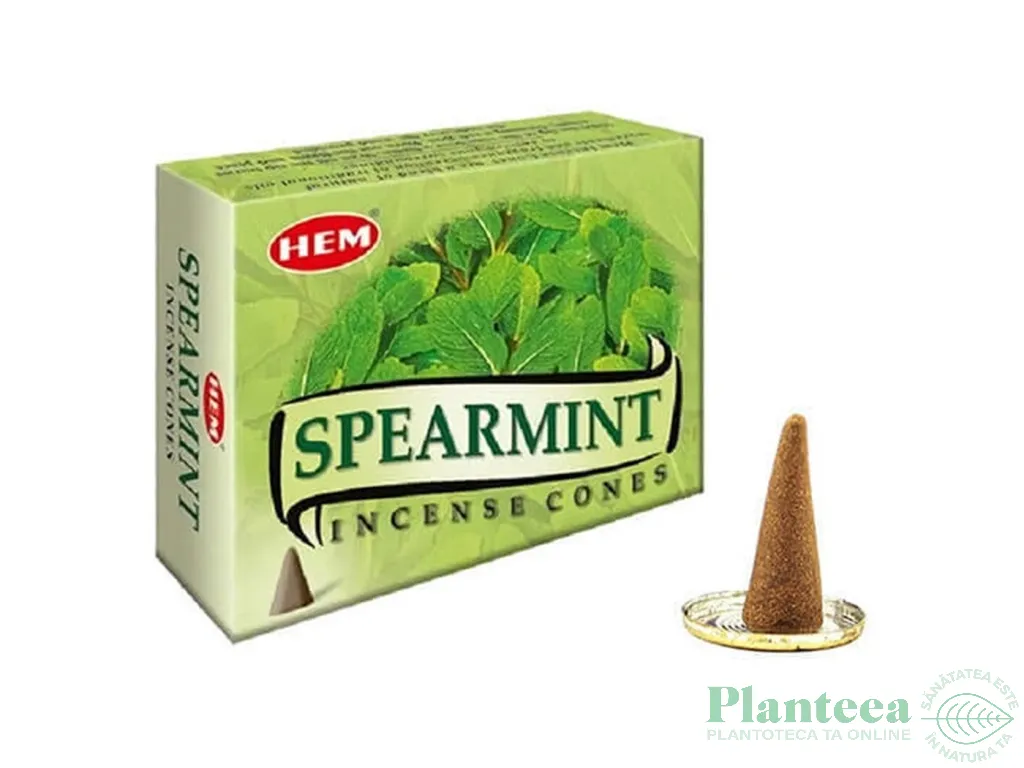 Conuri parfumate menta 10b - HEM