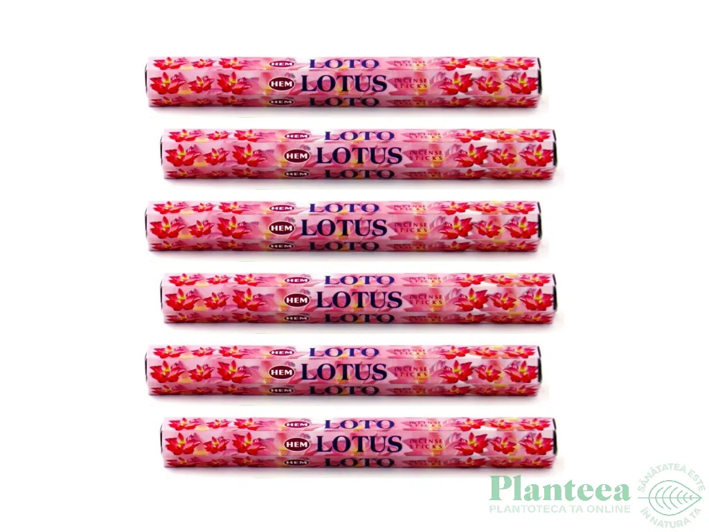 Pachet Betisoare parfumate Lotus 6x20b - HEM