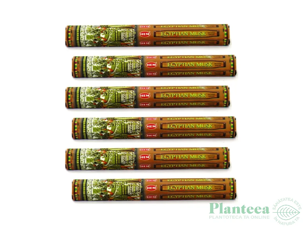 Pachet Betisoare parfumate Egyptian Musk 6x20b - HEM