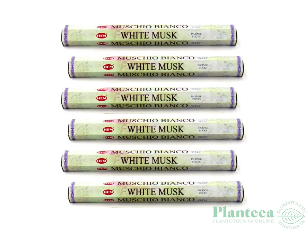 Pachet Betisoare parfumate White Musk 6x20b - HEM