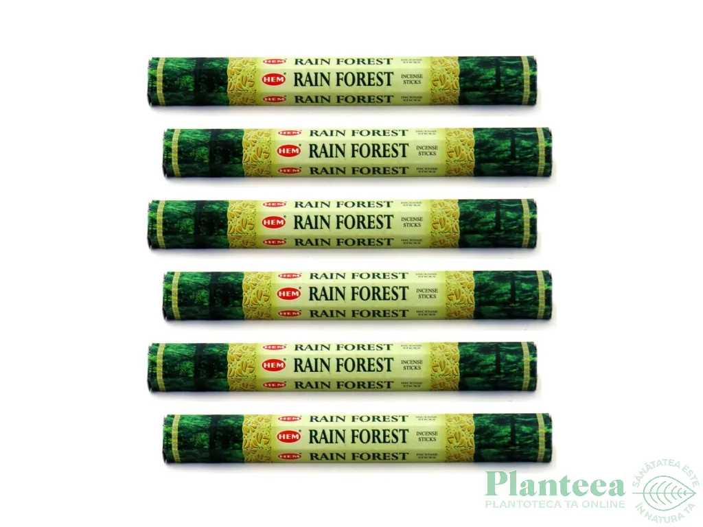 Pachet Betisoare parfumate Rain Forest 6x20b - HEM