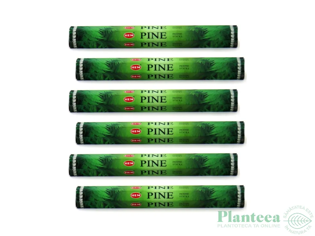 Pachet Betisoare parfumate Pine 6x20b - HEM