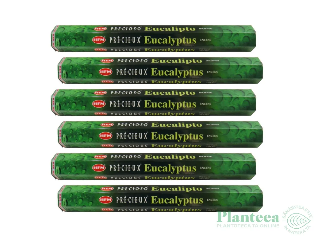 Pachet Betisoare parfumate Precious Eucalyptus 6x20b - HEM