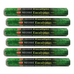 Pachet Betisoare parfumate Precious Eucalyptus 6x20b - HEM