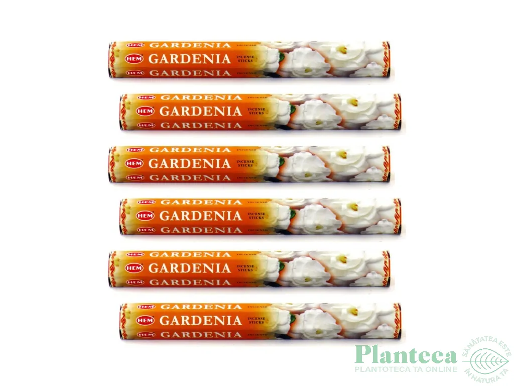 Pachet Betisoare parfumate Gardenia 6x20b - HEM