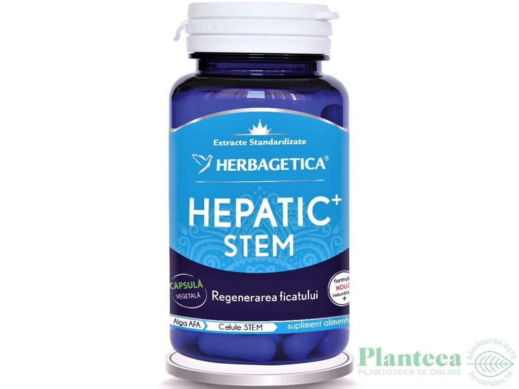 Hepatic+ stem 60cps - HERBAGETICA