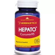 Hepato+ curcumin95 30cps - HERBAGETICA