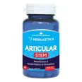 Articular stem 60cps - HERBAGETICA