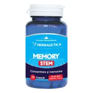 Memory stem 30cps - HERBAGETICA