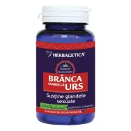 Branca marelui urs 30cps - HERBAGETICA