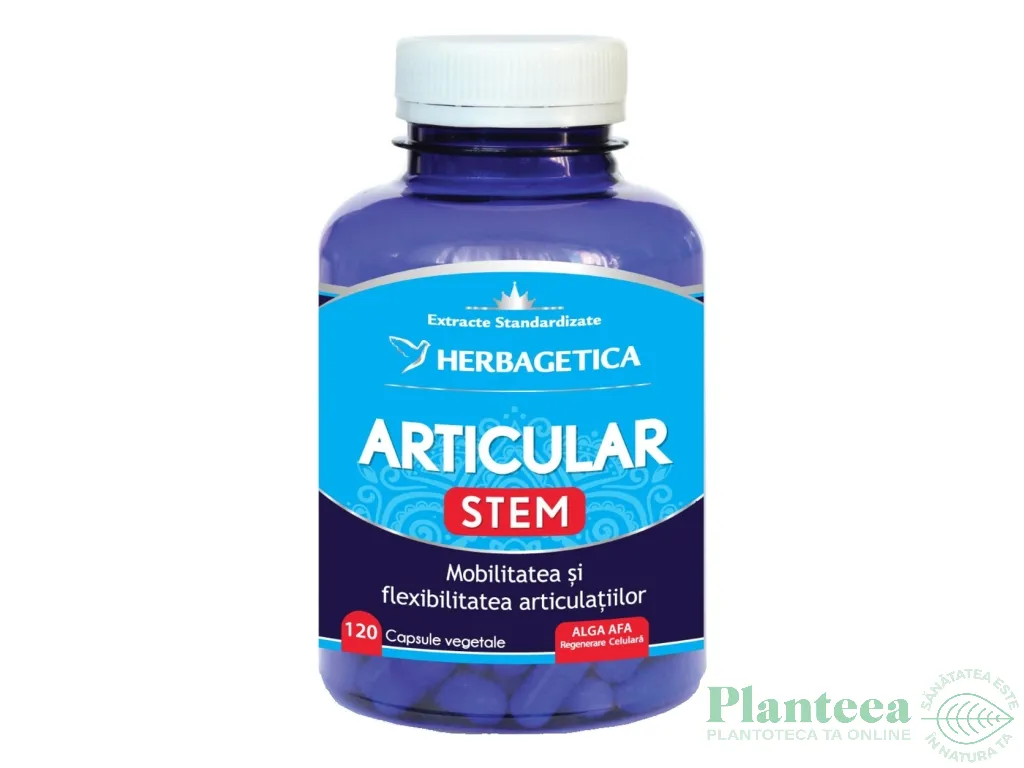 Articular stem 120cps - HERBAGETICA