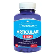 Articular stem 120cps - HERBAGETICA