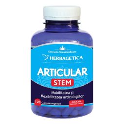 Articular stem 120cps - HERBAGETICA