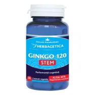 Ginkgo120+ stem 30cps - HERBAGETICA