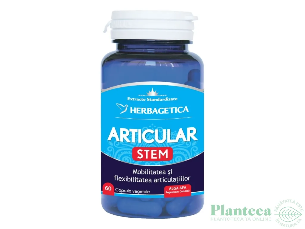Articular stem 60cps - HERBAGETICA