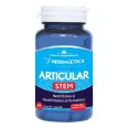 Articular stem 60cps - HERBAGETICA